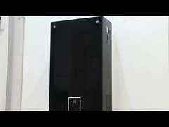 10L 2.6GPM Pemanas Air Panel Lapisan Hitam LPG NG Jenis Gas