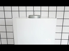 6L sampai 20L Gas Water Heater Tankless Instant Heating Flue Exhaust Type Gas Geyser