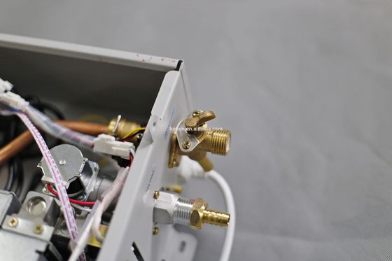 Flue Gas Water Heater with Over 86% Heat Efficiency 1 Year Warranty and 0.025-1.0MPa Water Pressure