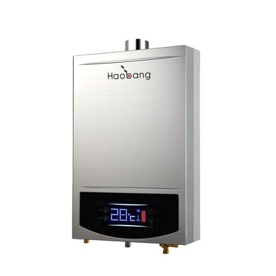 High Energy Efficiency Thermostat Constant Temperature App-Controlled Flue Gas Water Heater and LPG Water Heater