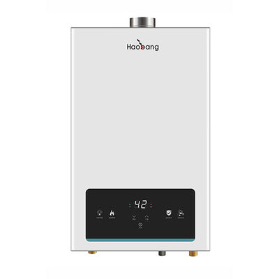 10L Tankless Gas Water Heater Indoor Instant Shower Jenis Eksos Dipaksa