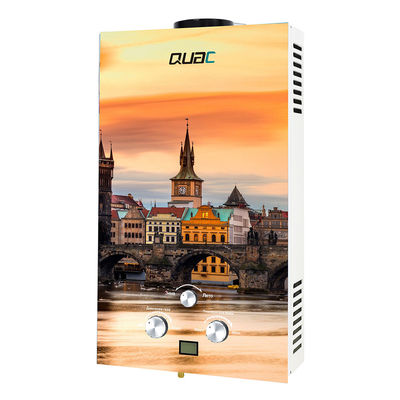 10L Tankless Instant Gas Pemanas Air Painting Panel Kaca