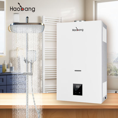 Pemanas air gas asap yang dipasang di dinding dengan knalpot asap dan perlindungan opsional